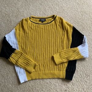 Express Sweater